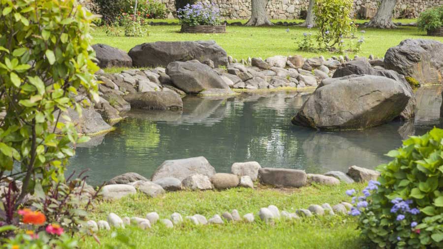 Kerti dísztavak kivitelezése, kerti tó építés
