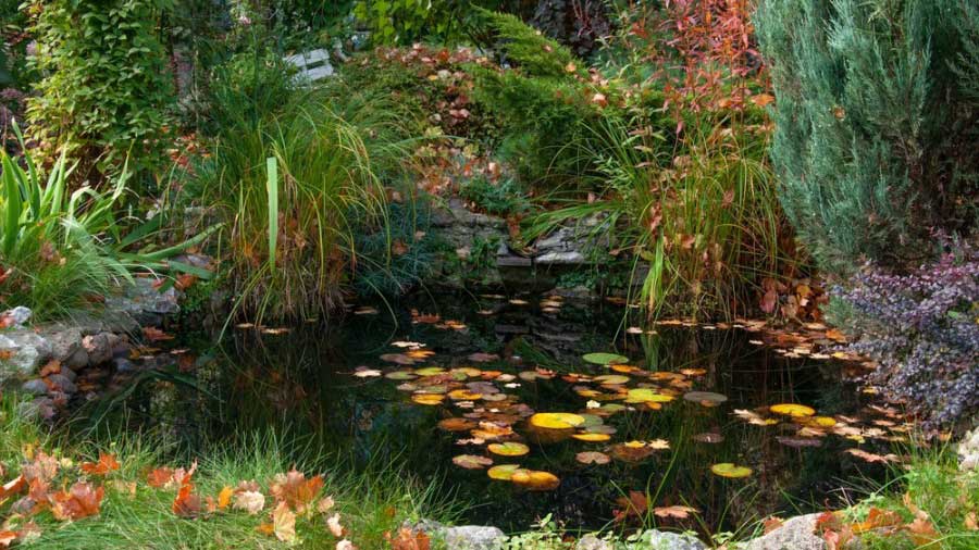 Kerti dísztavak kivitelezése, kerti tó építés