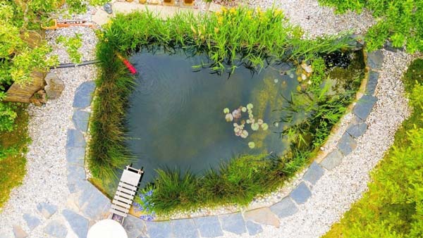 természetes kerti tó